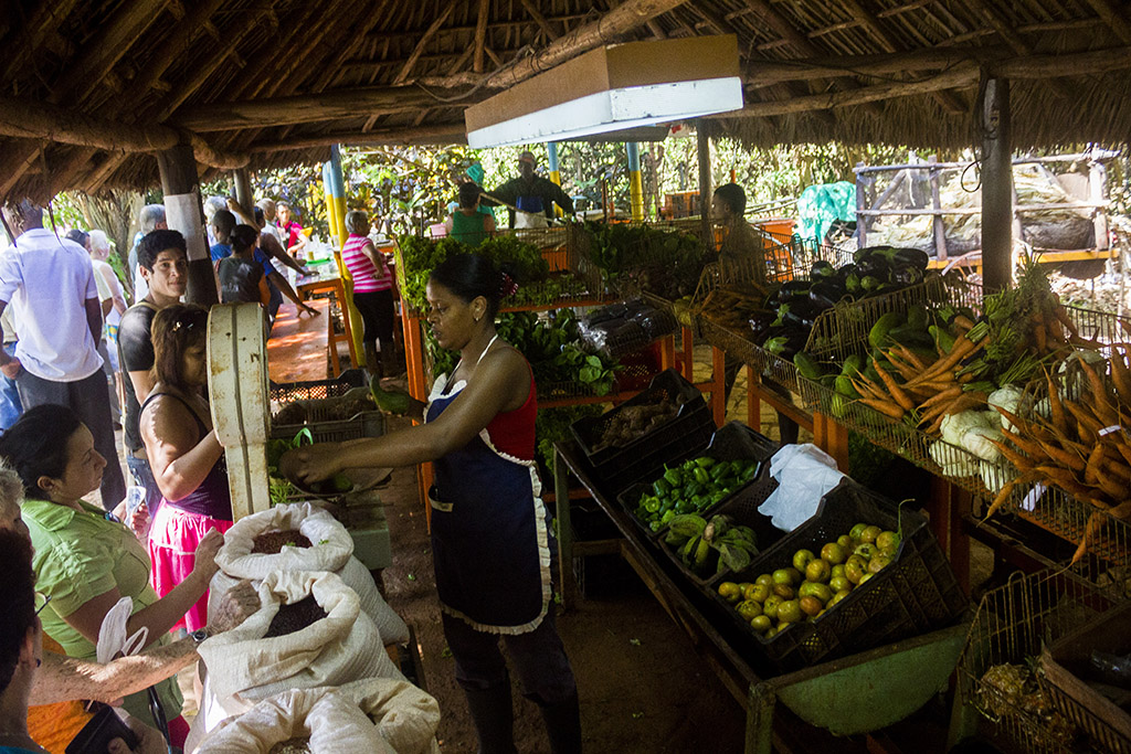 Día de la Tierra 13 Día de la Tierra 13