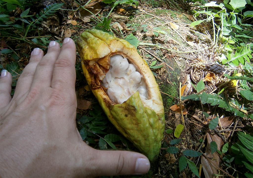 Baracoa 07