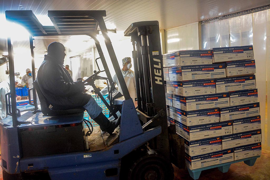 Empresa Pesquera Industrial La Coloma (EPICOL) Empresa Pesquera Industrial La Coloma (EPICOL)