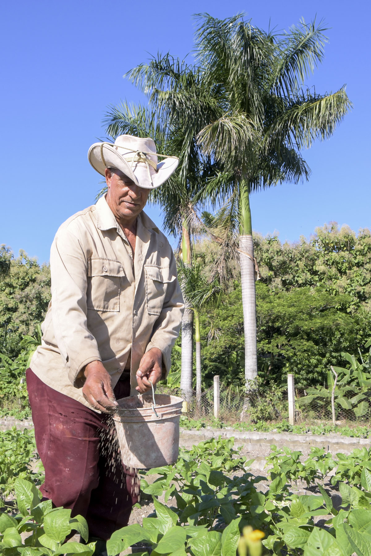 Agricultura3