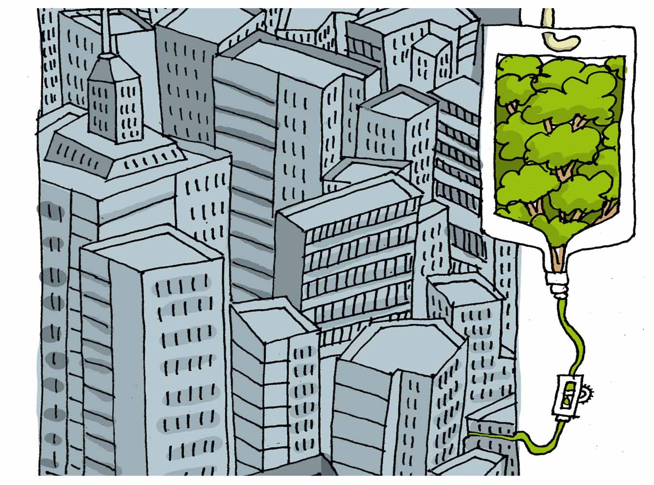 Sanar el Medio ambiente