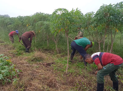 Producción de Alimentos Producción de Alimentos