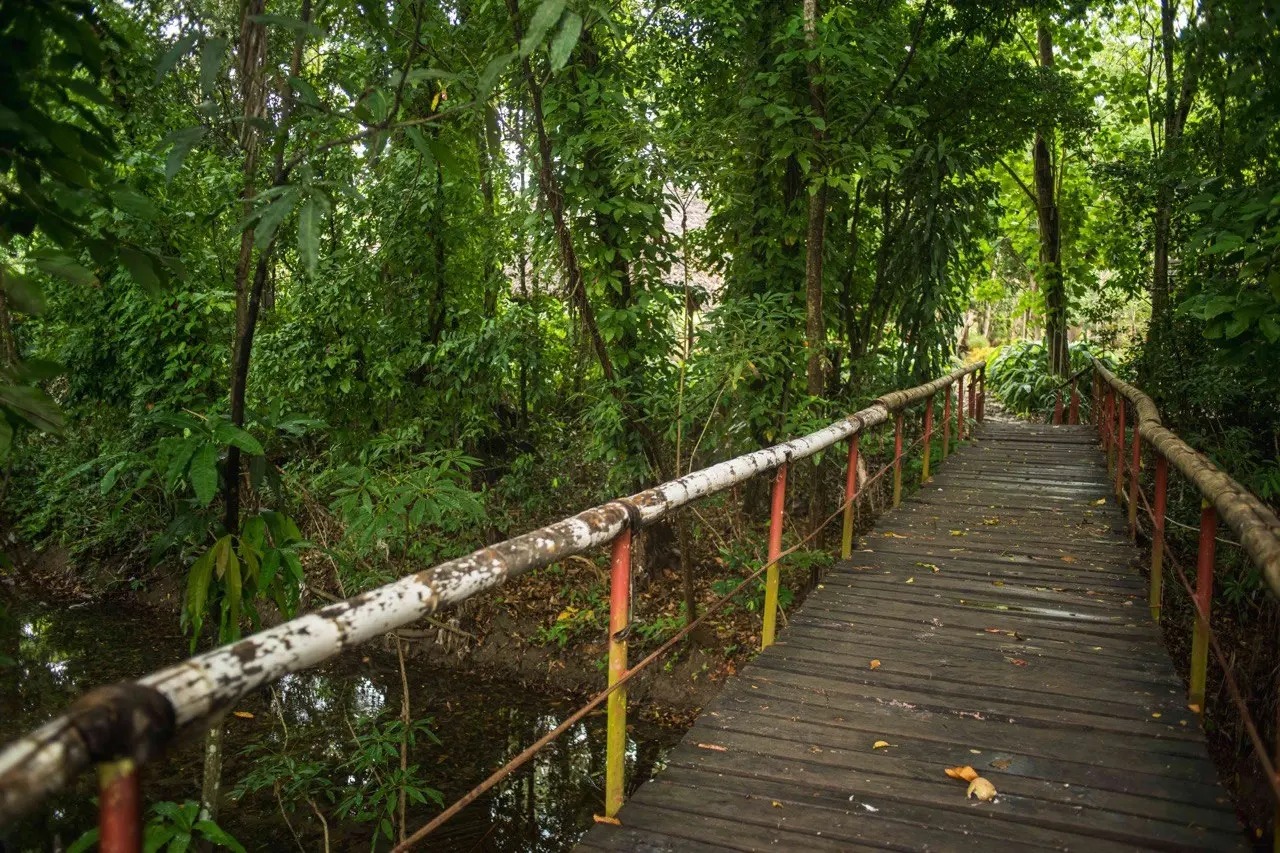 JARDÍN BOTÁNICO CUPAYNICÚ