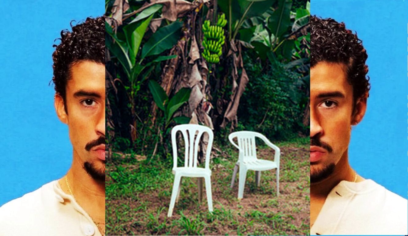 Debí tirar más fotos: ¿otro conejo  o sombrero? (III)