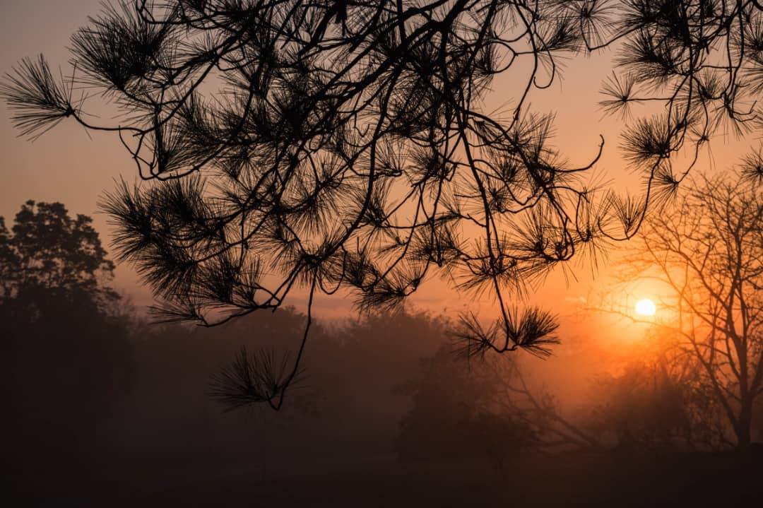 Jardín Botánico Nacional