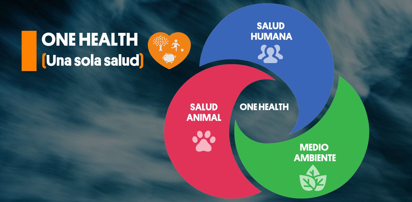 One Health (Una sola salud)