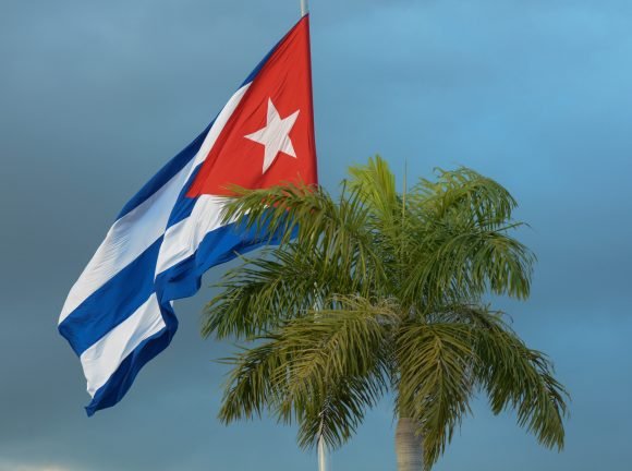 Bandera Cubana y Palma Real
