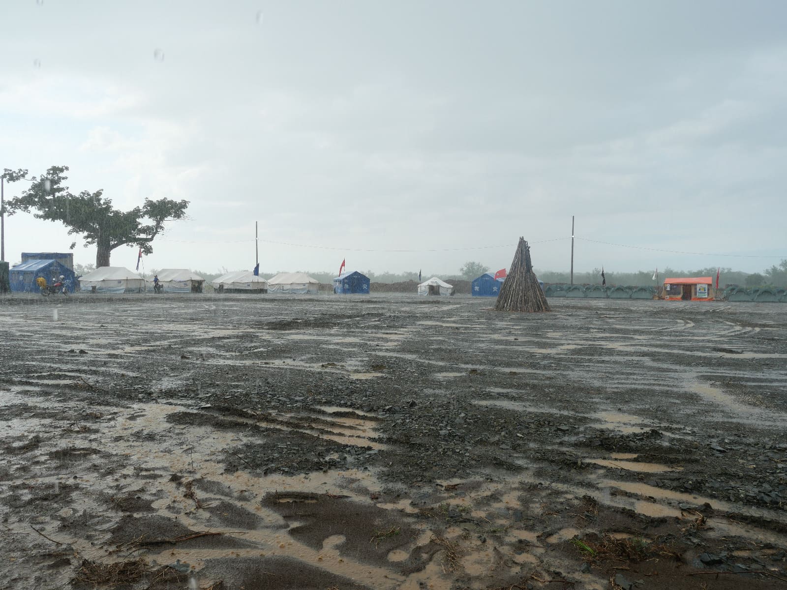 Los jóvenes en Birán