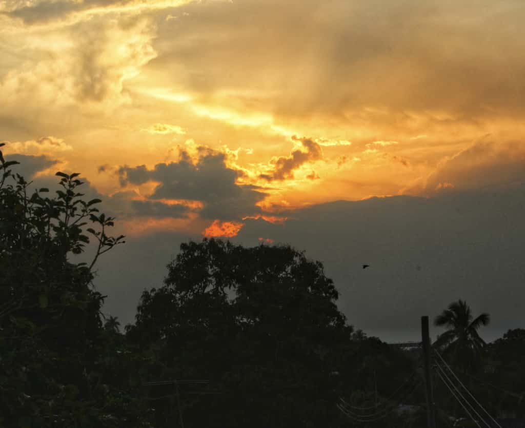 El año del avistamiento extraterrestre El año del avistamiento extraterrestre