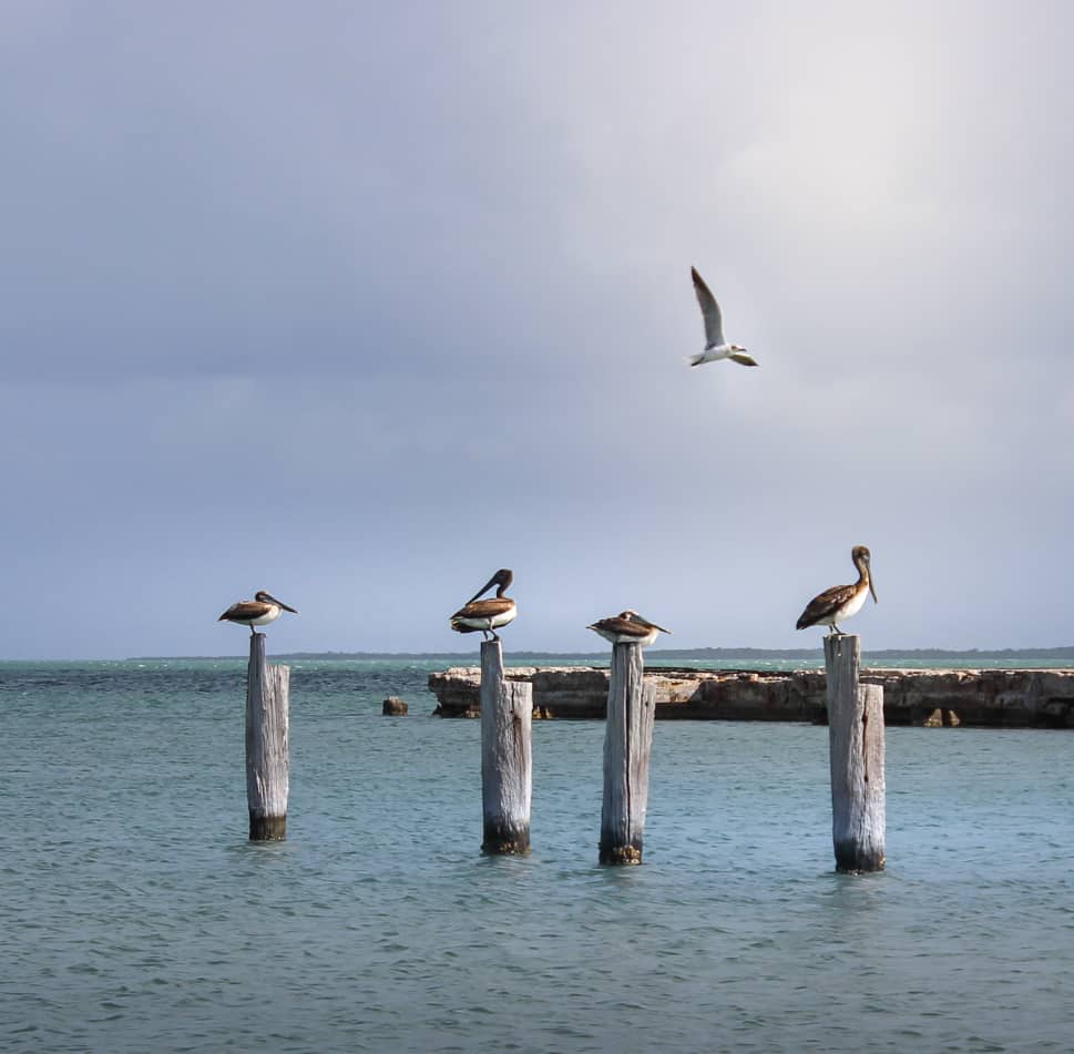 La Venecia de Cuba: Isabela de Sagua 