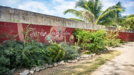 Ocho metros de botánica costera