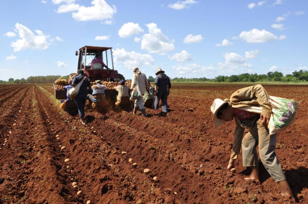 Un ambicioso plan inversionista acorde a las necesidades del país 