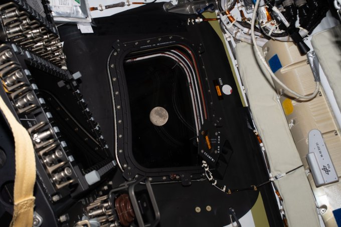 Imagen de la Luna vista desde la nave Orion