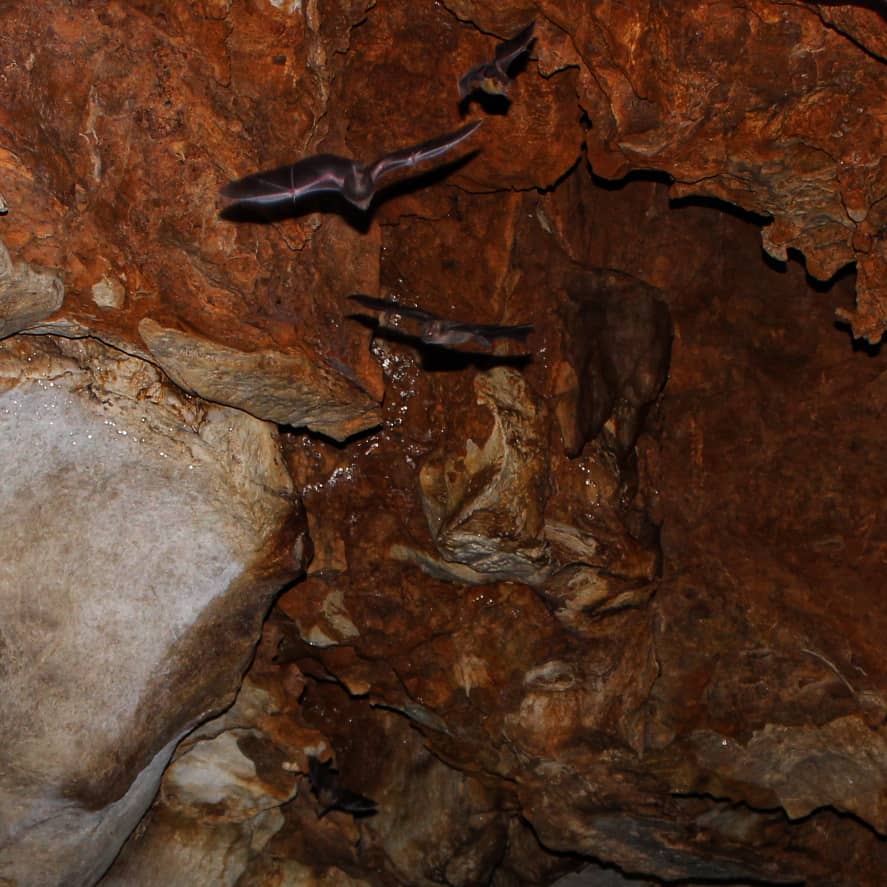 Los Mogotes de Jumagua: un mundo bajo la piedra (+Fotos) 	