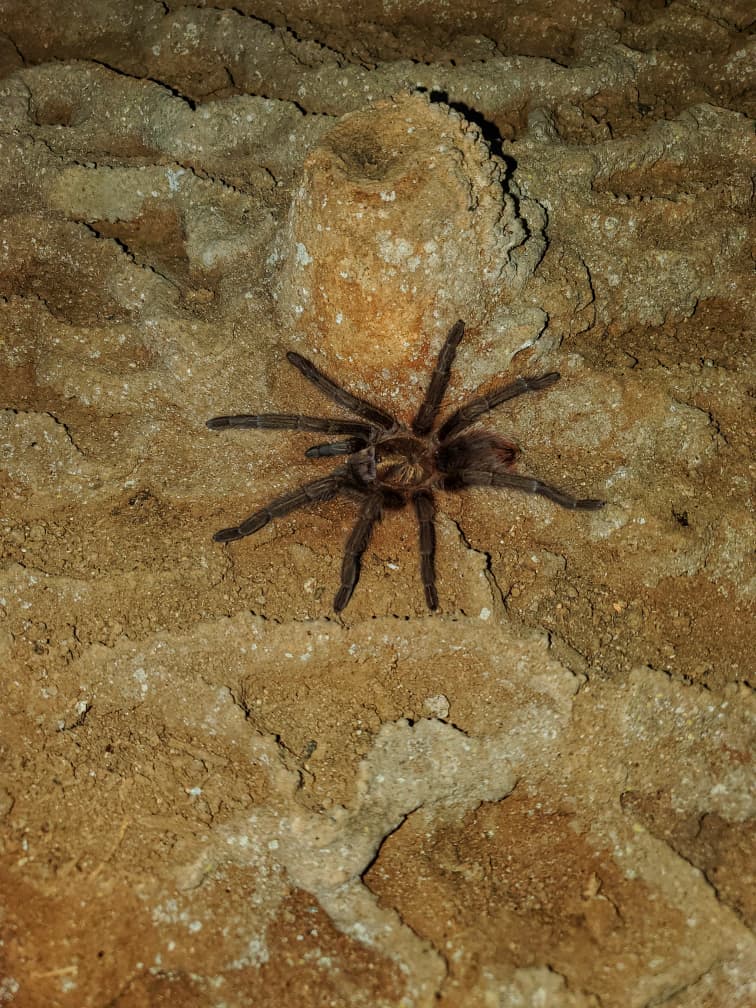 Los Mogotes de Jumagua: un mundo bajo la piedra (+Fotos) 	